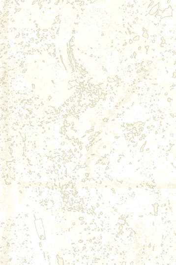 AZ53980