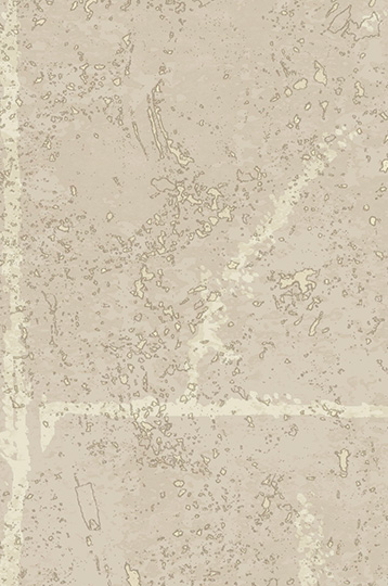 AZ53982