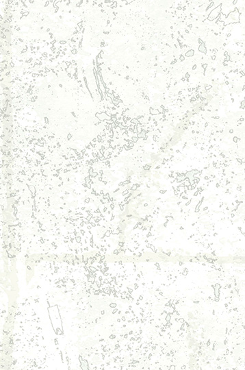 AZ53984