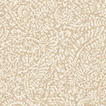 AZ53955 thumbnail