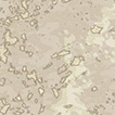 AZ53982 thumbnail